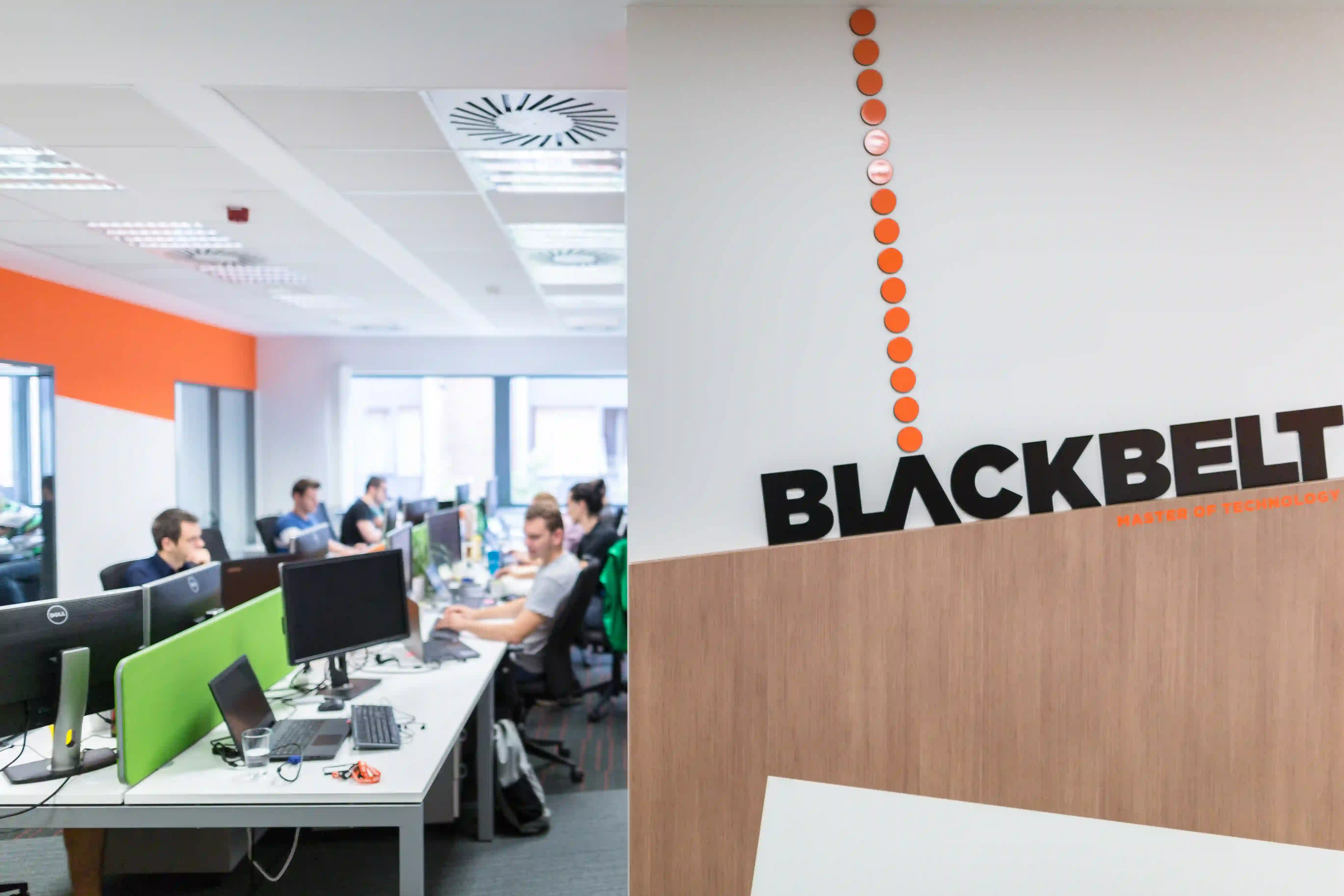 blackbelt-software-development-team-in-office
